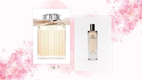 parfum chloe dupe|goedkoopste parfum dupes.